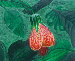 Painting: Red Vein Chinese Lantern
